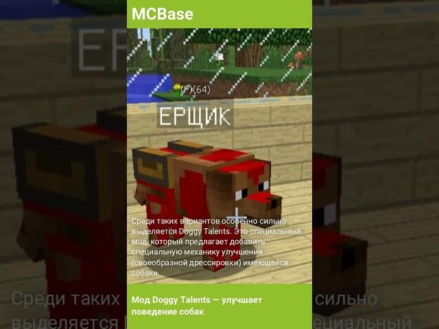 Мод для Minecraft Doggy Talents — улучшает поведение собак