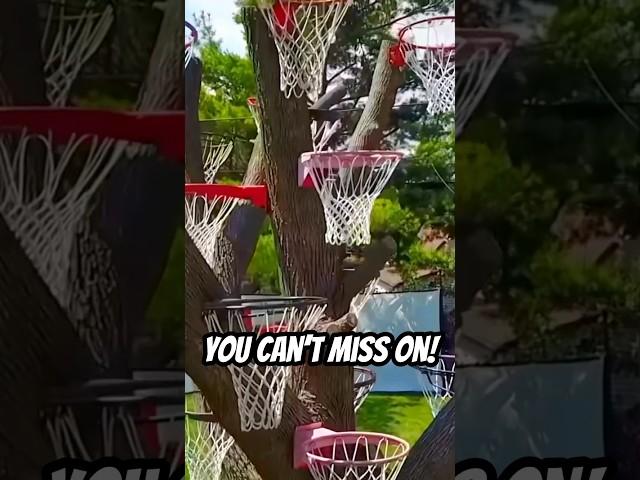 A Basketball Tree That you CAN’T miss on #basketball #shorts