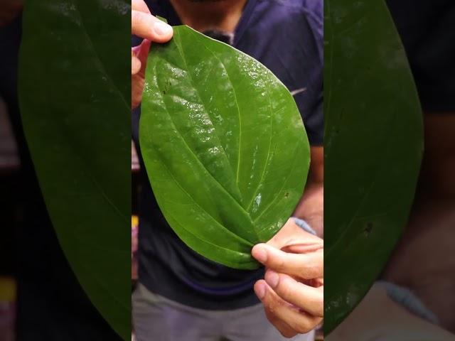 Let's Eat a Flaming Leaf (FIRE PAAN) | Lahore, Pakistan food