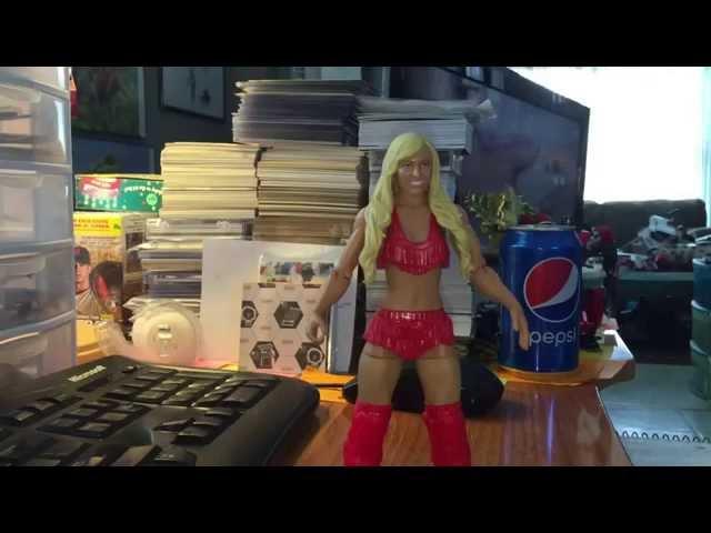 @mypalalex WWE Summer Rae Basic Series 50 Alex's Toy Show #361