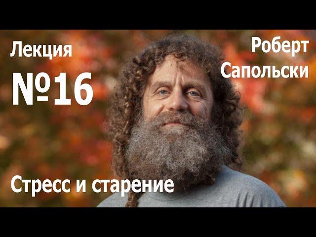 Лекция №16. Роберт Сапольски — «Стресс и старение»