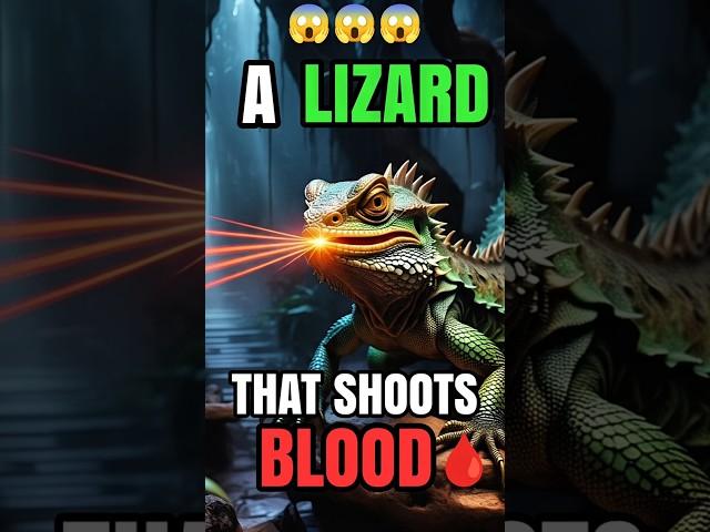 This Lizard Shoots Blood? Wait How Is This Possible?  #didyouknow #facts #education #wizznugget