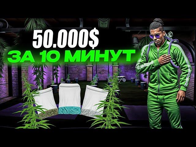 50.000$ ЗА 10 МИНУТ НА MAJESTIC RP | КУРЬЕР GREEN | САМАЯ ПРИБЫЛЬНАЯ РАБОТА