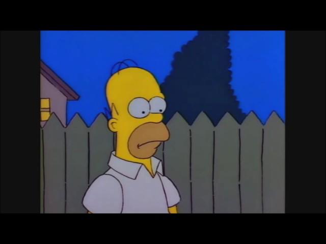 Homer Gets Mad At Bart For Not Being A Genius - The Simpsons