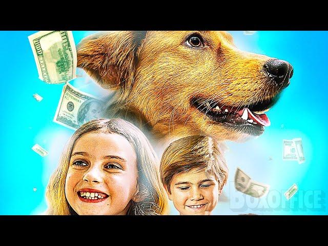 Furry Fortune | FAMILY MOVIE | Full Movie in English  