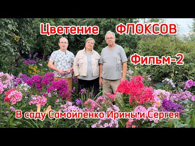 Цветение флоксов. Фильм-2. В саду Самойленко Ирины и Сергея