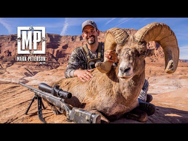 Utah Desert Bighorn, Sheep Week 2022 | Mark Peterson Hunting