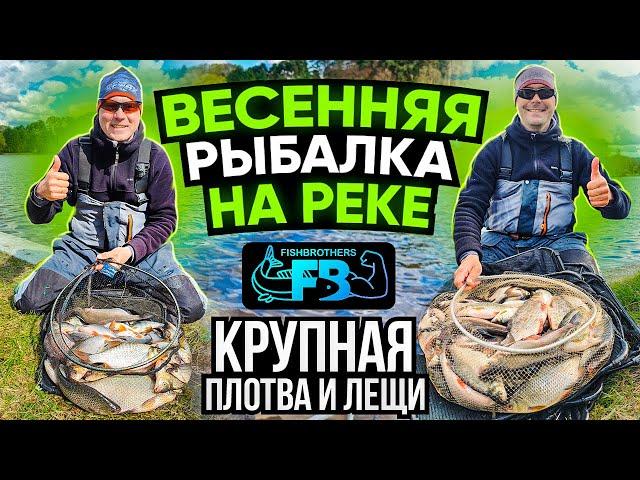 ВЕСЕННИЙ ФИДЕР на реке, ловля осторожной ПЛОТВЫ И ЛЕЩА по холодной воде!