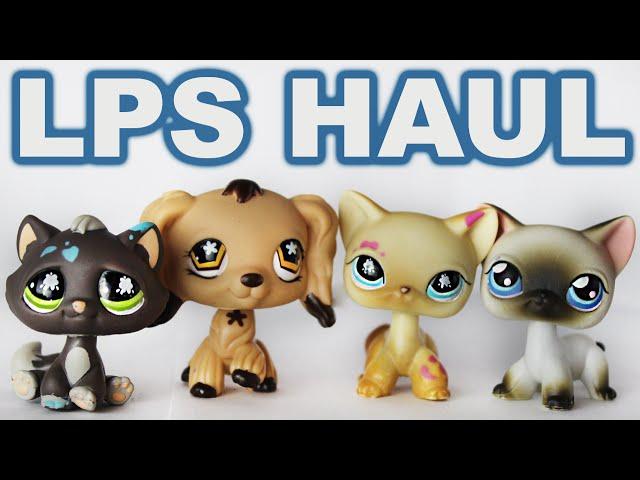 LPS Haul from Ebay Short haired cats and Spaniels | Alice LPS