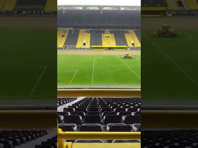 @BORUSSIA DORTMUND!! STADIUM SIGNAL IDUNA PARK  ️