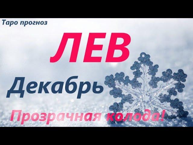 ЛЕВ  ДЕКАБРЬ2021 таро прогноз/таро гороскоп/Прозрачная колода! Все знаки зодиака! Онлайн прогноз