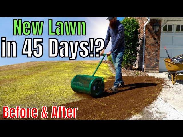 How to Plant a New Lawn with 4 Easy Steps!!!