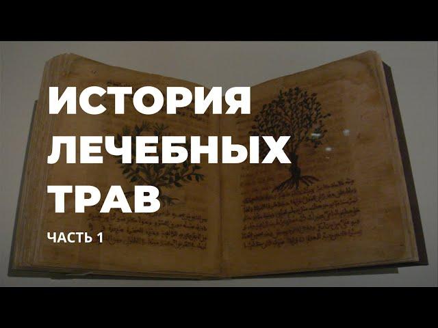 История лечебных трав. Часть 1 / Захар Травник