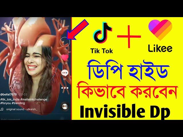 how to make your tiktok dp invisible || tiktok par apni profile picture invisible kaise kare