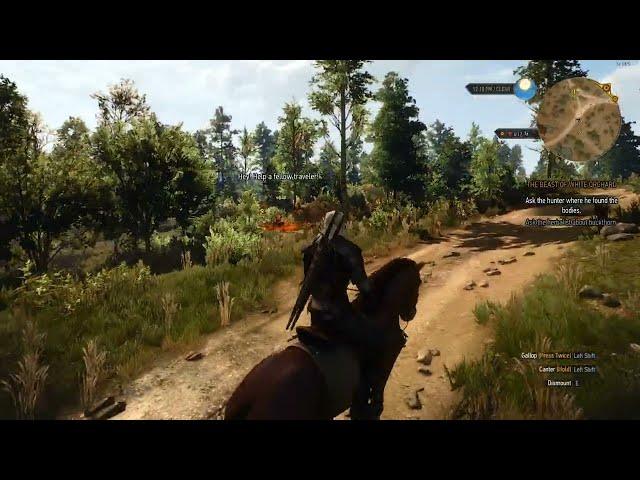 The Witcher 3: Wild Hunt (GTX 750 TI - Intel I5 3550 - 8GB Ram)