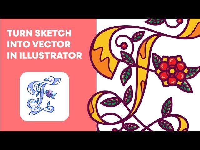 Turn Your Sketch Into Vector in Adobe Illustrator