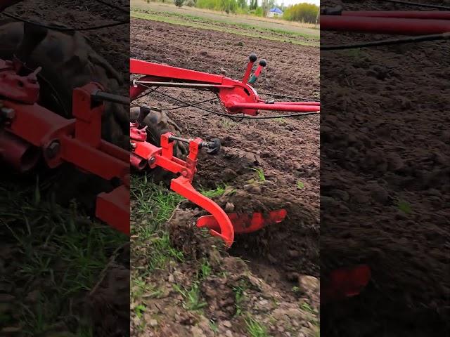 Мотоблок Белоурус приятно пашет. Весенняя перепашка #farming #мтз #мотоблок