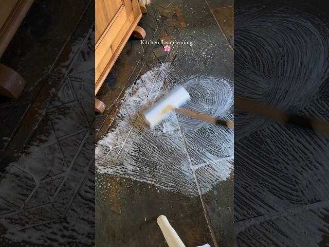 Kitchen floor cleaning asmr  #cleantok #satisfying #asmr #floor #floorcleaning #satisfyingvideo