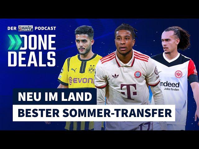 Olise, Theate & Co.: Neu im Land – die besten Sommer-Transfers 2024/25 | TRANSFERMARKT