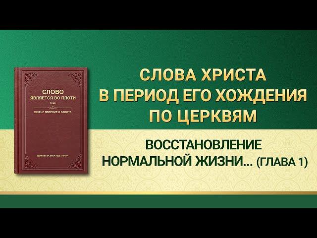 Восстановление нормальной жизни человека и направление его в прекрасное место назначения (Глава 1)