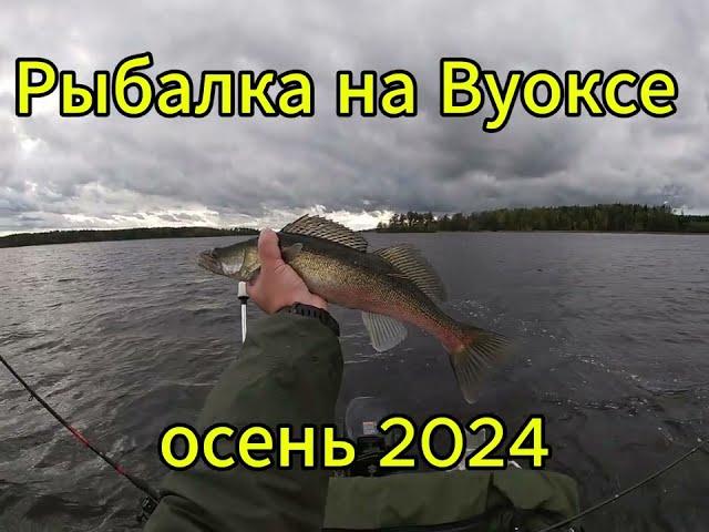 Рыбалка на Вуоксе. Спиннинг. Осень 2024