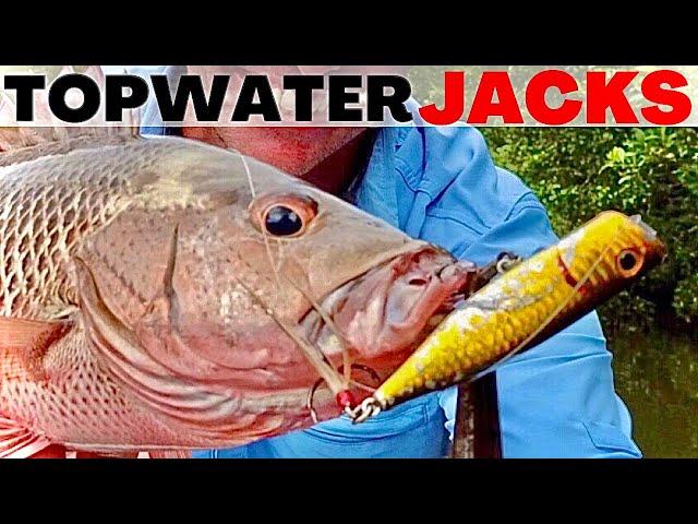 Mangrove Jack Tactics - Topwater Lures and How To Fish Them