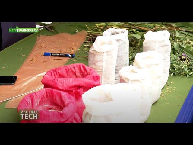 Githunguri Dairy with tips on dairy farming feeds - MkulimaTech