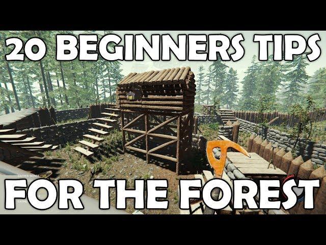 20 Beginners Tips for The Forest | Survival Game Guide