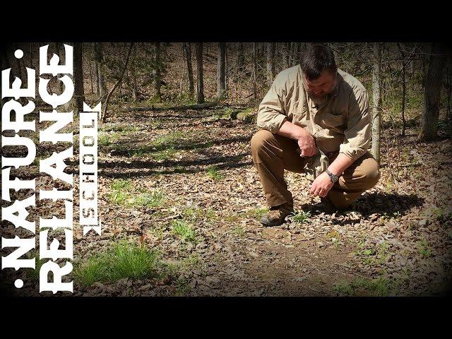 Tracking in Leaf Litter - Animal Tracking, Man Tracking