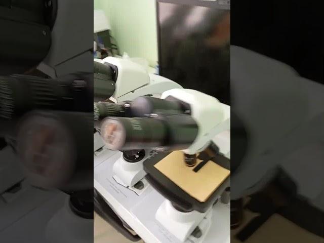 "Микролаб" Лабораторный микроскоп