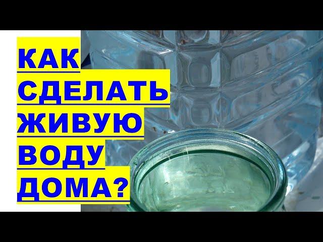 How to make your own holy living water?