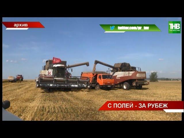 Дмитрий Патрушев: как российские товары будут покорять мир? ТНВ