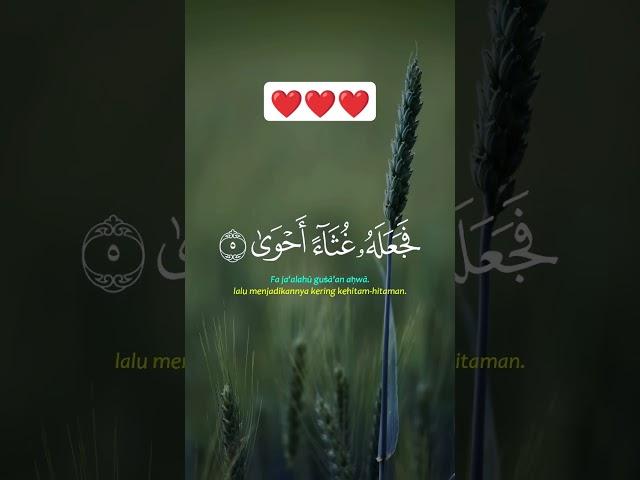 Masya Allah Merdu Menyentuh Hati Al A'la (ayat 1 sampai 10)