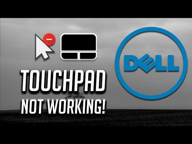 Dell Touchpad Not Working in Windows 10/8/7 [2025 Tutorial]