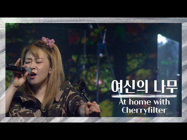 체리필터 - 여신의 나무 (Non-Contact Live, 2020.09.20) | At home with Cherryfilter