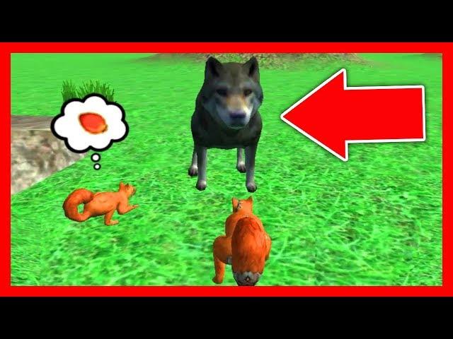 СИМУЛЯТОР БЕЛКИ #13 ИГРАЕМ С БЕЛЬЧОНКОМ и ОХОТИМСЯ на ВОЛКАв Squirrel Simulator