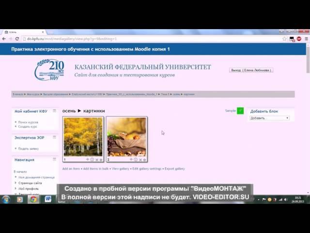видео урок по работе с элементами в системе Moodle