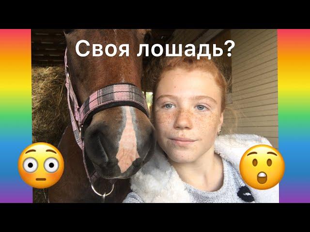 Мне купили лошадь?Неделя влогов:день 1️