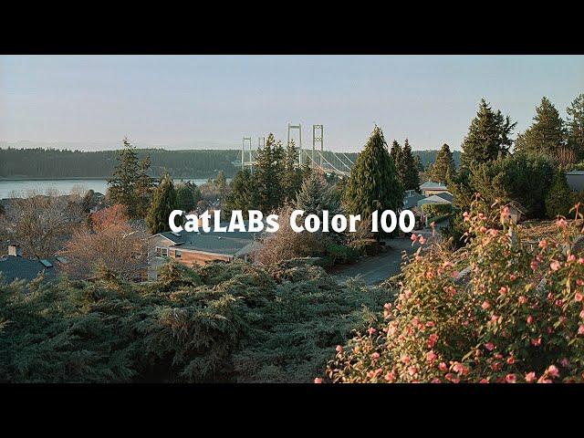 CatLABs Color 100