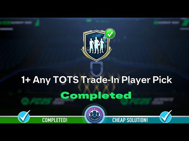 91+ Any TOTS Trade-In Player Pick Opened! - Cheap Solution & SBC Tips - FC 25