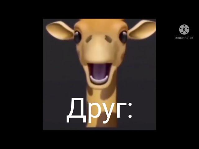 Предлагаю другу...