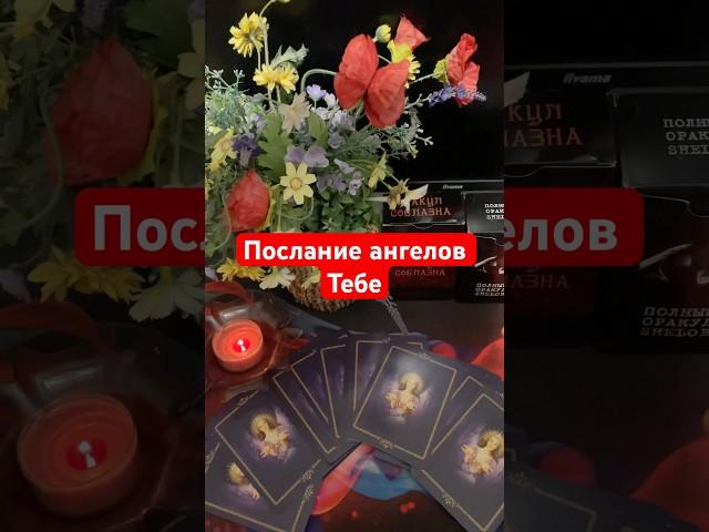 Послание ангелов Тебе #тарошортс #shors #таро #tarot #события