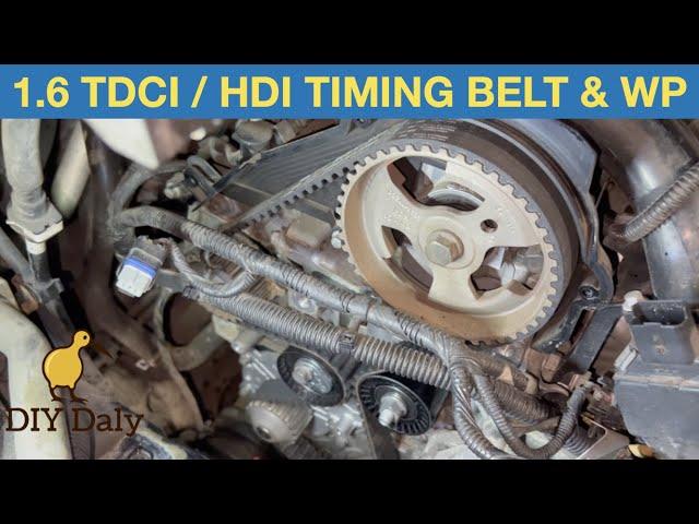 FORD 1.6 TDCI / PSA 1.6 HDI Timing belt and water pump replacement 2012 Cmax