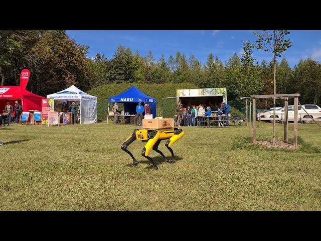 Roboterhund Spot verteilt auf dem Jenaer Schottplatz kleine Geschenke an die Besucher