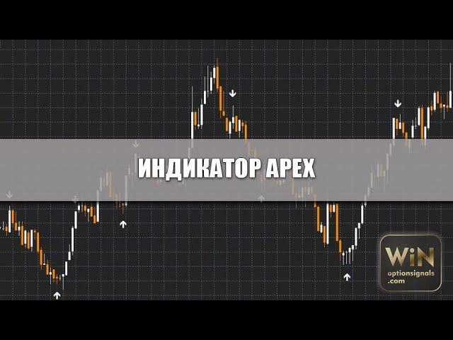 Индикатор APEX для бинарных опционов. Статистика за один день