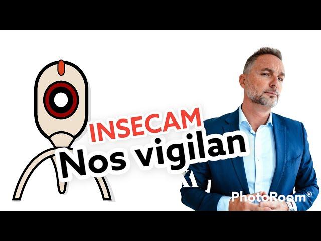 LAS WEBCAMS NOS VIGILAN? Si. INSECAM