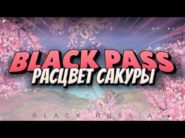 Новый сезон BLACK PASS «Расцвет сакуры»