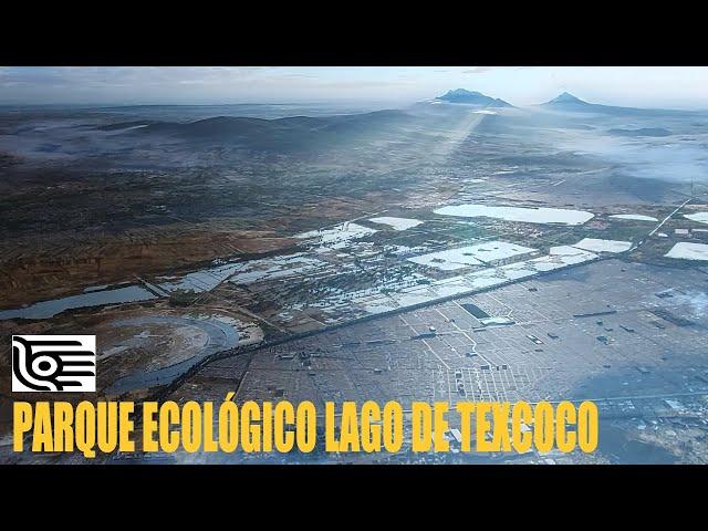 Así esta el PARQUE ECOLOGICO LAGO DE TEXCOCO MX