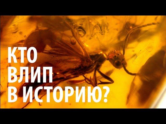 КТО ВЛИП В ИСТОРИЮ? Ярослав Попов | Палеонтологические истории #005