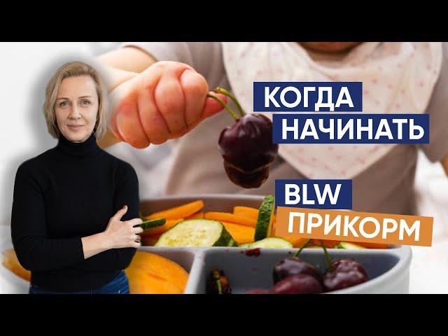 Когда начинать BLW прикорм